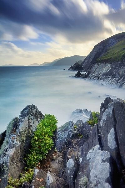 Europe, Ireland, Kerry, Slea Head sea stacks along Dingle peninsula