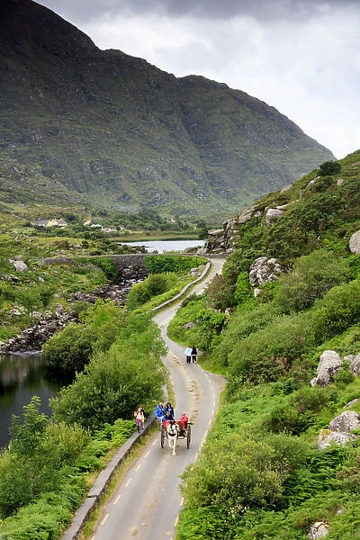 Europe, Ireland, ring of Kerry, tourists on traditional pony and trap visiting the