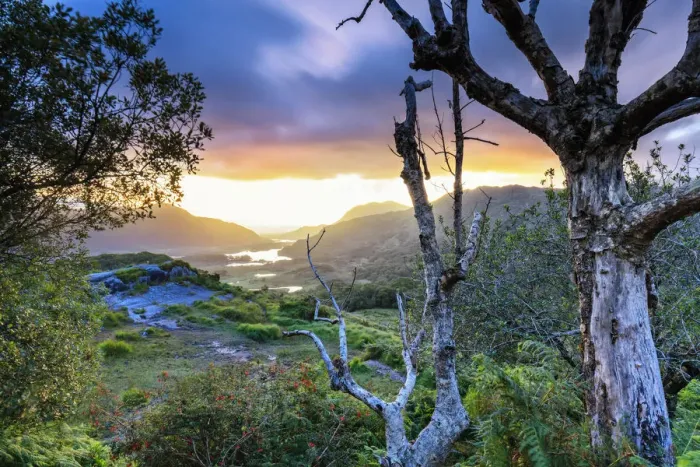 Framed Print : Europe, Ireland, Wild Atlantic Way, Ring of Kerry, sunrise at Ladys view viewpoint Framed Print : Europe, Ireland, Wild Atlantic Way, Ring of Kerry, sunrise at Ladys view viewpoint