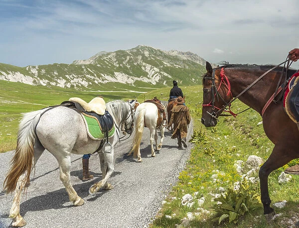 europe, Italy, the Abruzzi. Riders on a road in the National Park of Gran Sasso