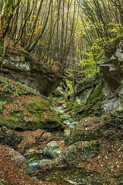 Europe, Italy, Abruzzo region. Lush autumn in the Orfento Valley nature reserve