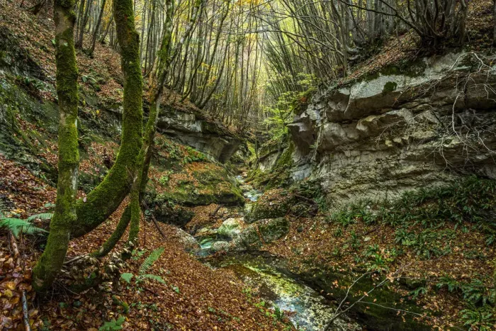 Framed Print : Europe, Italy, Abruzzo region. Lush autumn in the Orfento Valley nature reserve Framed Print : Europe, Italy, Abruzzo region. Lush autumn in the Orfento Valley nature reserve