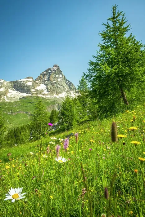 Framed Print : Europe, Italy, Aosta Valley. The iconic Matterhorn seen from a hiking path near to Breuil-Cervinia