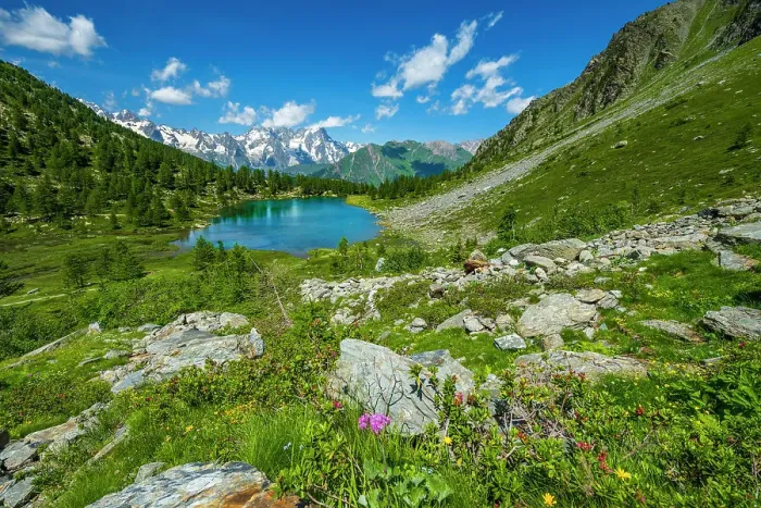 Framed Print : Europe, Italy, Aosta Valley. The lake Arpy surrounded by flowering meadows. in the background the Mont Blanc Massif Framed Print : Europe, Italy, Aosta Valley. The lake Arpy surrounded by flowering meadows. in the background the Mont Blanc Massif
