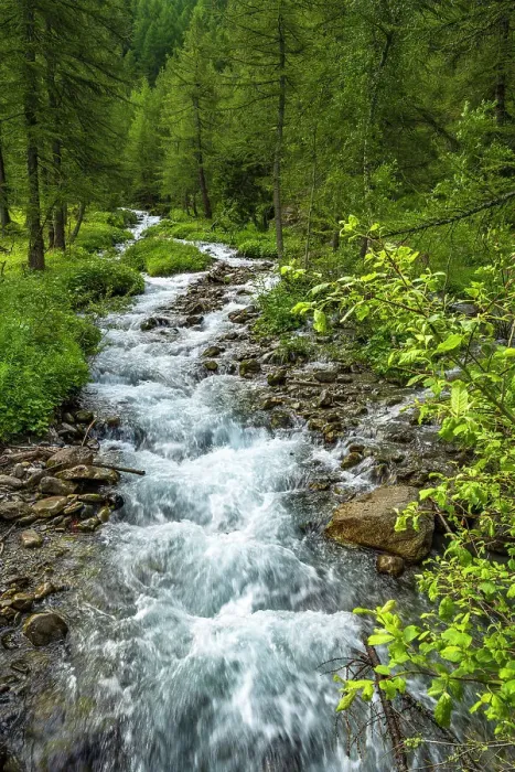 Framed Print : Europe, Italy, Aosta Valley. A little mountain creek in the Val Ferret near to the Mount Blanc Massiv Framed Print : Europe, Italy, Aosta Valley. A little mountain creek in the Val Ferret near to the Mount Blanc Massiv