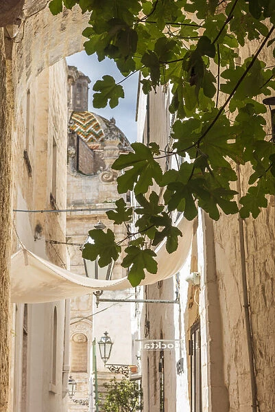 europe, Italy, Apulia. Ostuni, a passage in the historic center of the town with view to