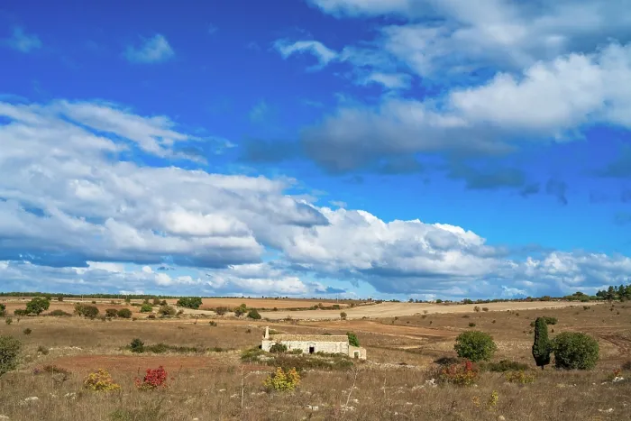 Framed Print : Europe, Italy, Apulia. A typical landscape of the Alta Murgia Nationalpark near to Altamura Framed Print : Europe, Italy, Apulia. A typical landscape of the Alta Murgia Nationalpark near to Altamura