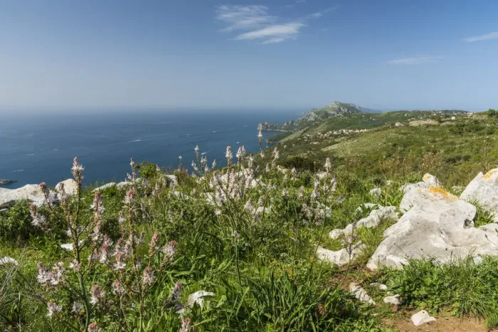 Framed Print : Europe, Italy, Campania. The view from the footpath of the Syrenuse over the Coast