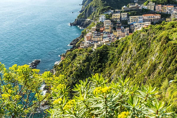 Europe, Italy, Cinque Terre. Riomaggiore in Spring Time