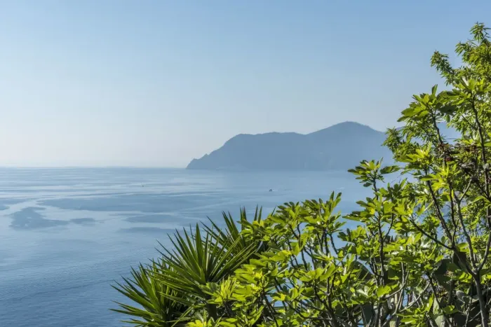 Framed Print : Europe, Italy, Cinque Terre. A view from a hiking path over the sea