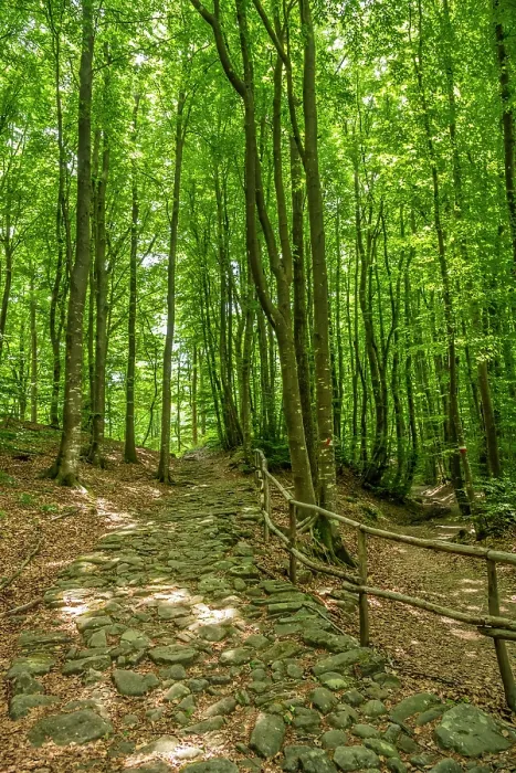Framed Print : europe, Italy, Emilia-Romagna, the ancient roman road Via Flaminia that meets the Via degli Dei in the forests Framed Print : europe, Italy, Emilia-Romagna, the ancient roman road Via Flaminia that meets the Via degli Dei in the forests