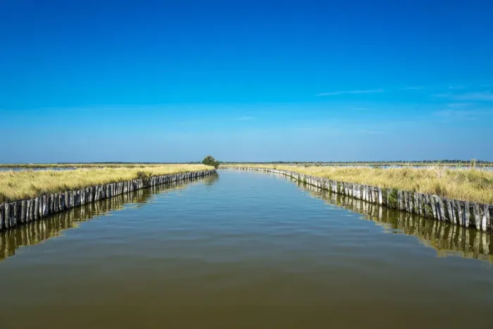 Framed Print : Europe, Italy, Emilia-Romagna. a boat excursion in the po delta Framed Print : Europe, Italy, Emilia-Romagna. a boat excursion in the po delta