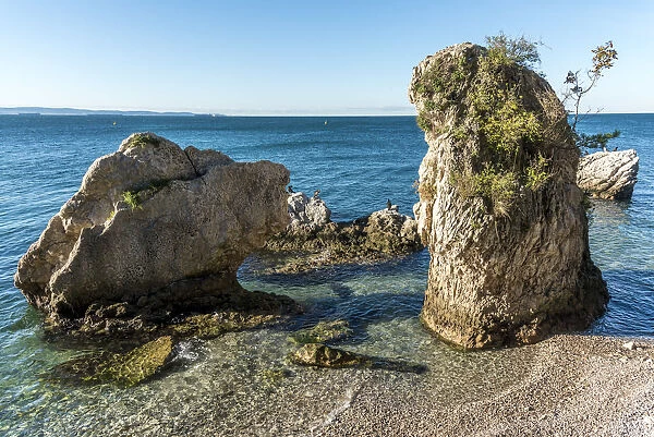 Europe, Italy, Friuli-Venezia-Giulia. The Marine reserve of Miramare, near to Trieste