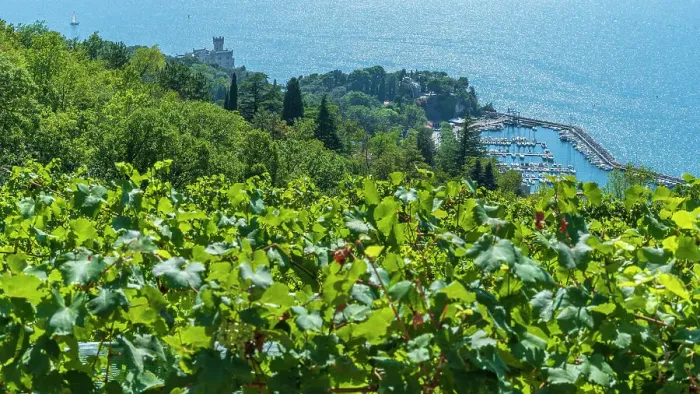 Framed Print : europe, Italy, Friuli Venezia Giulia. View from the hiking path downwards to the castle of Miramare near to Triest and Grignano Framed Print : europe, Italy, Friuli Venezia Giulia. View from the hiking path downwards to the castle of Miramare near to Triest and Grignano