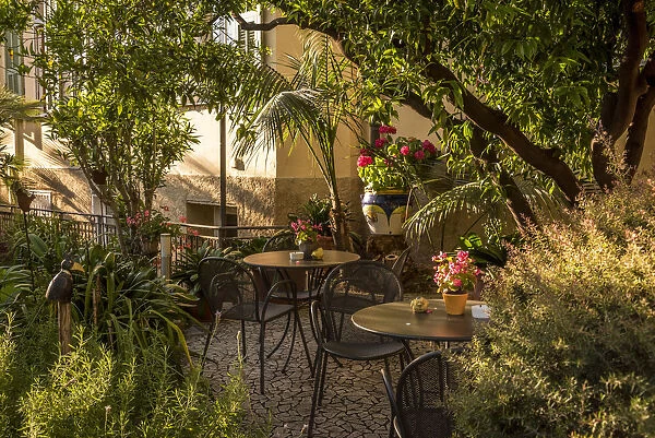 Europe, Italy, Liguria. Bordighera. The garden of the Hotel Villa Elisa
