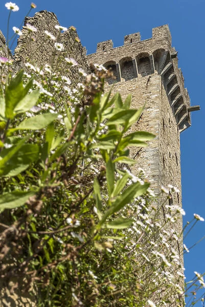 europe, Italy, Liguria. Detail of the castle of Castelnuovo Magra in Lunigiana
