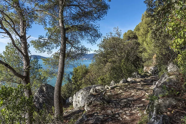 Europe, Italy, Liguria, Coastal trail near to Lerici