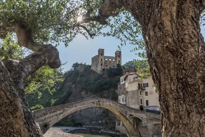 Framed Print : Europe, Italy, Liguria. Dolceacqua. The old bridge and castle seen through old olive