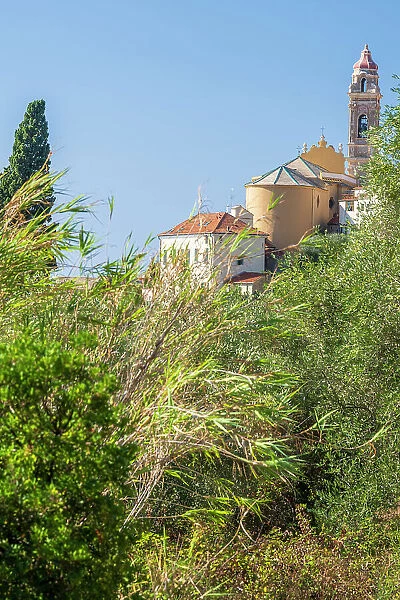 Europe, Italy, Liguria, A glimps of Cervo and its church from the hiking path