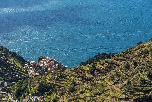 Europe, Italy, Liguria. View over Manarola, Cinque Terre