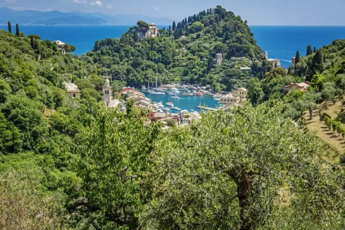 Framed Print : Europe, italy, Liguria. View over Portofino Framed Print : Europe, italy, Liguria. View over Portofino