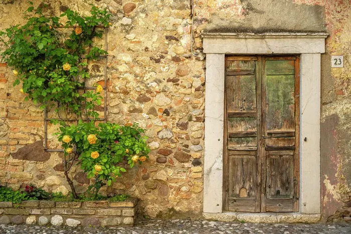 Framed Print : Europe, Italy, Lombardy. Beautiful old door with a rose plant. Inside the Castle of Pozzolengo