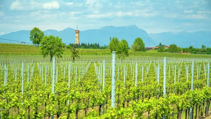 Framed Print : Europe, Italy, Lombardy. The Tower of San Martino della Battaglia near to Pozzolengo in the Lugana wine area Framed Print : Europe, Italy, Lombardy. The Tower of San Martino della Battaglia near to Pozzolengo in the Lugana wine area