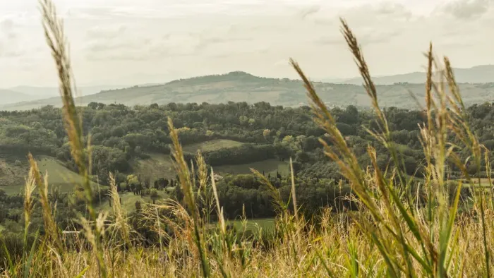 Framed Print : Europe, Italy, the Marches. Landscape near to the Monte San Bartolo Framed Print : Europe, Italy, the Marches. Landscape near to the Monte San Bartolo