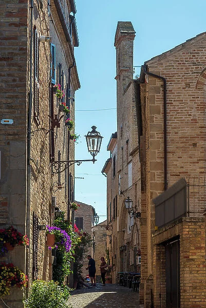 europe, Italy, The Marches. A narrow street in the beautiful hamlet of Torre di Palme near Fermo