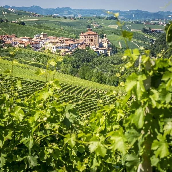 Europe, Italy, Piedmont. View of Barolo surrounded by vineyards