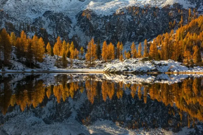 Framed Print : Europe, Italy, refclections in Adamello - Brenta Park, Trentino Alto Adige Framed Print : Europe, Italy, refclections in Adamello - Brenta Park, Trentino Alto Adige