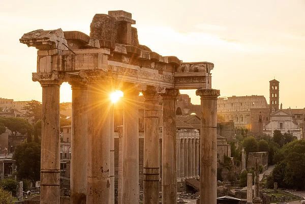 Europe, Italy, Rome. The Forum Romanum with the temple of Saturn in the rising sun