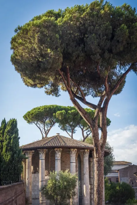 Framed Print : europe, Italy, Rome. The temple of Hercules Victor on the Forum Boarium Framed Print : europe, Italy, Rome. The temple of Hercules Victor on the Forum Boarium