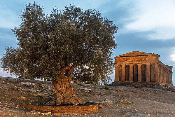 Europe, Italy, Sicily. Agrigento, the temple of Concordia at sunset