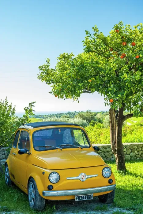 Framed Print : Europe, Italy, Sicily. A Fiat 500 under an orange tree