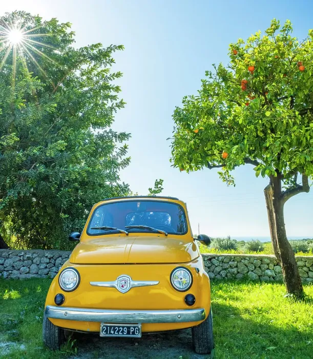 Framed Print : Europe, Italy, Sicily. A Fiat 500 under an orange tree Framed Print : Europe, Italy, Sicily. A Fiat 500 under an orange tree