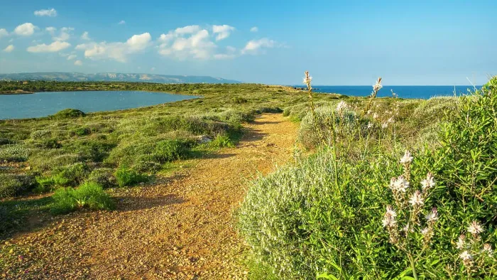 Framed Print : Europe, Italy, Sicily. The nature reserve of Vendicari and one of the path between sea and lagoon Framed Print : Europe, Italy, Sicily. The nature reserve of Vendicari and one of the path between sea and lagoon