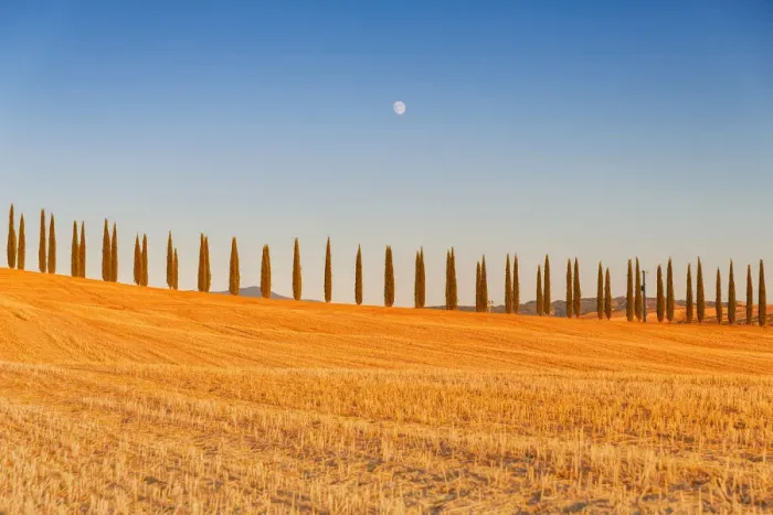 Framed Print : Europe, Italy, Siena district, Orcia Valley, San Quirico d Orcia Framed Print : Europe, Italy, Siena district, Orcia Valley, San Quirico d Orcia