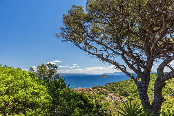 europe, Italy, Tuscany, Elba Island, view from the GTE hike towards the town of Cavo