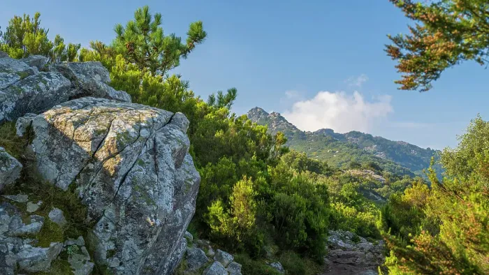 Framed Print : Europe, Italy, Tuscany. Elba Island, On the hike of the GTE, the Grande Traversata Elbana, the Elba crossing. near the Monte Capanne, the highest peak of the island Framed Print : Europe, Italy, Tuscany. Elba Island, On the hike of the GTE, the Grande Traversata Elbana, the Elba crossing. near the Monte Capanne, the highest peak of the island