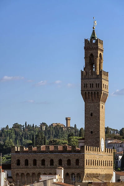 Europe, Italy, Tuscany, Florence, Palazzo Vecchio Tower