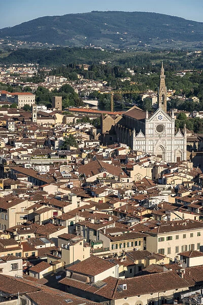 Europe, Italy, Tuscany, Florence, Basilica di Santa Croce and Rooftops