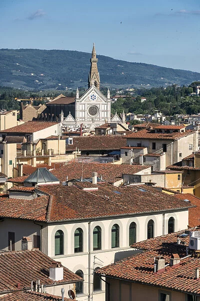 Europe, Italy, Tuscany, Florence, Basilica di Santa Croce and Rooftops