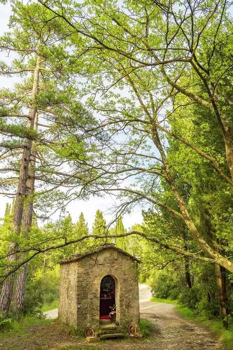 Framed Print : Europe, Italy, Tuscany. Florence, Pontassieve area. A shrine in the forest near Monte Bardellone Framed Print : Europe, Italy, Tuscany. Florence, Pontassieve area. A shrine in the forest near Monte Bardellone