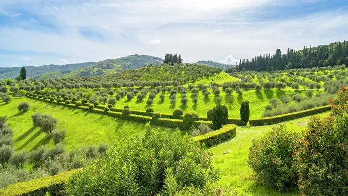 Framed Print : Europe, Italy, Tuscany. Florence area. Torre a Cona wine estate, gardens and olive groves Framed Print : Europe, Italy, Tuscany. Florence area. Torre a Cona wine estate, gardens and olive groves