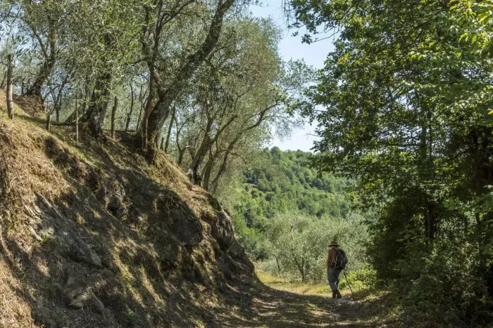 Framed Print : Europe, italy, Tuscany. Hiking on the Via Francigena