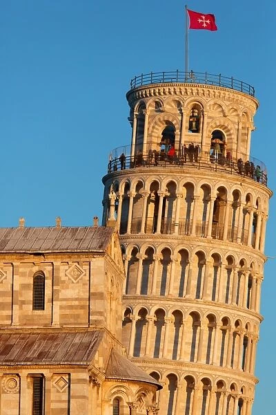 Europe, Italy, Tuscany, Pisa. Detail of the tower and the cathedral