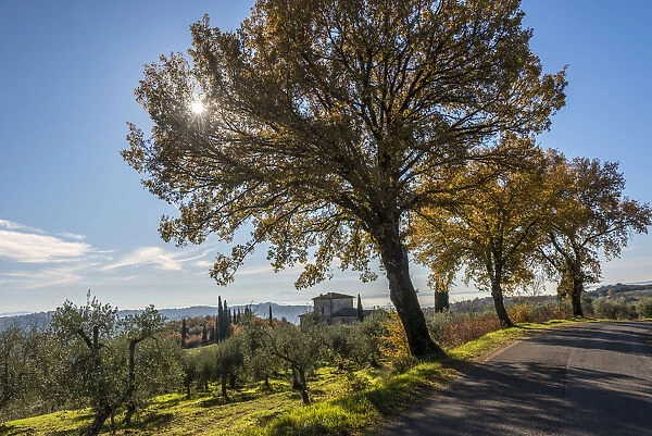 Europe, Italy, Tuscany. Road in Chianti