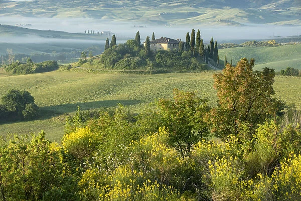 Europe, Italy, Tuscany, Toscana, San Quirico d Orcia, Tuscan landscape
