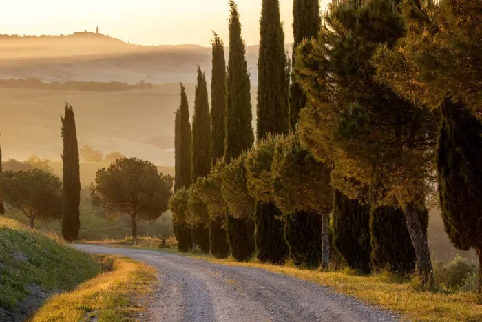 Framed Print : Europe, Italy, Tuscany, Toscana, San Quirico d Orcia